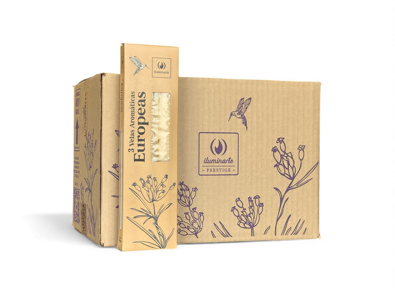 134WB - 3 V. Europeas Aromaticas  25cm Bto x 42